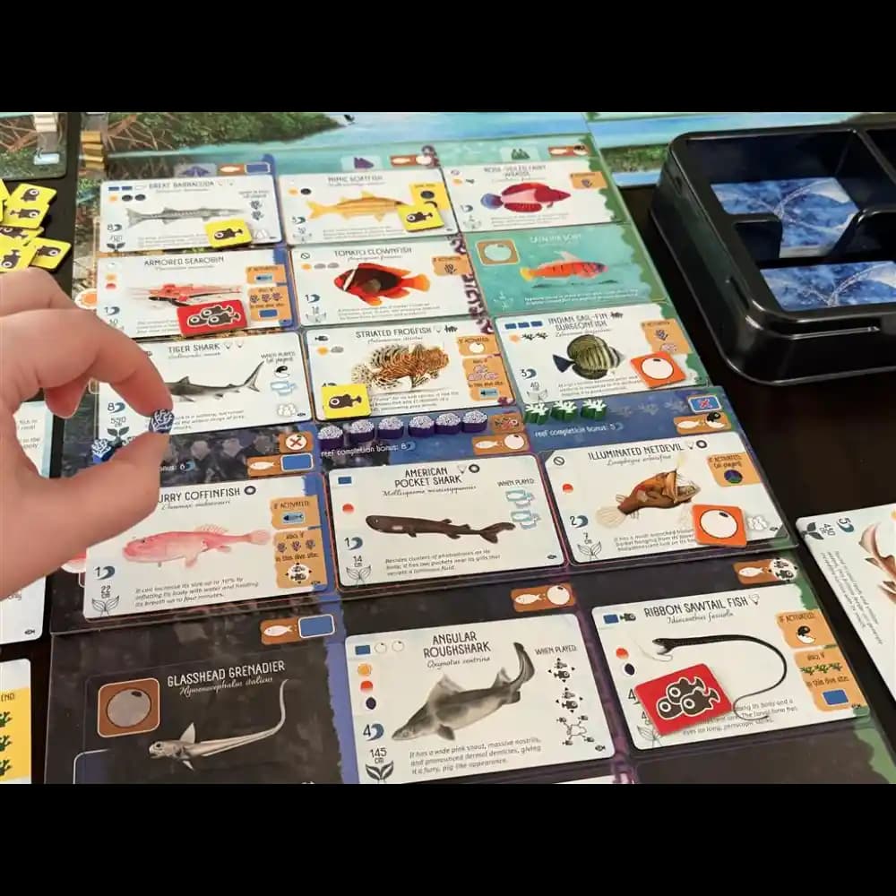 Finspan Sharks & Reefs Expansion